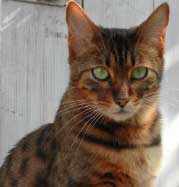 Sarangha ist nicht beeindruckt