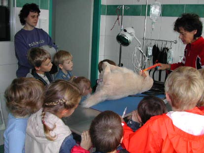 Wie funktioniert ein Narkosegerät? Was ist ein Tubus? Das ist spannend!