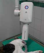 Dentalröntgen zur FORL- Untersuchung