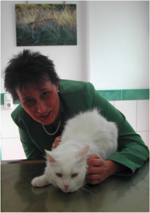 akt_news201508_06