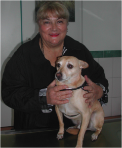 akt_news201511_07