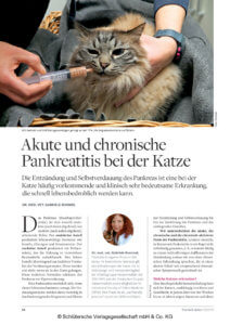 thumbnail of tierisch_dabei_201803_rummel_pankreatitis_katze